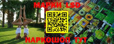 сатива Рязань