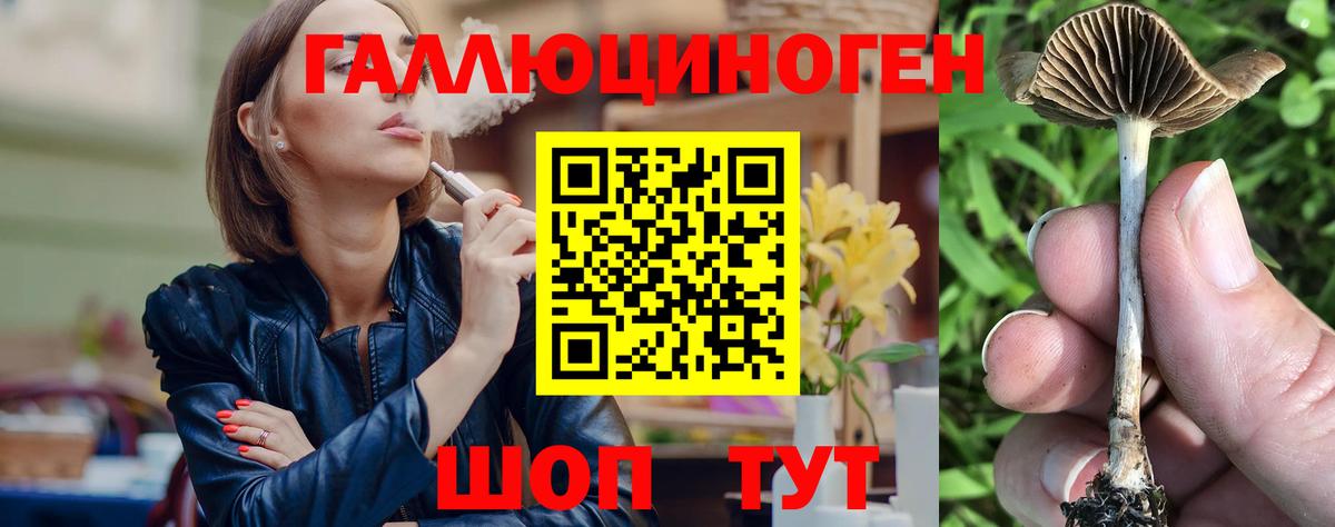 Галлюциногенные грибы MAGIC MUSHROOMS  Вход с VPN  Серпухов 